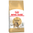 Royal Canin Bengal Adult сухой корм для бенгальских кошек старше 12 месяцев Royal Canin Bengal Adult сухой корм для бенгальских кошек старше 12 месяцев