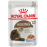 Royal Canin Ageing 12+ (в желе,пауч) влажный корм для кошек старше 12 лет Royal Canin Ageing 12+ (в желе,пауч) влажный корм для кошек старше 12 лет