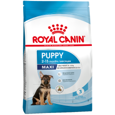 Купить Royal Canin Maxi Puppy корм для щенков крупных пород до 15 месяцев (вес взрослой собаки от 26 до 44 кг) 