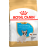 Royal Canin French Bulldog Puppy сухой корм для щенков породы Французский бульдог до 12 месяцев