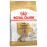 Royal Canin Yorkshire Terrier Adult 8+ сухой корм для стареющих собак породы Йоркширский Терьер в возрасте 8 лет и старше Royal Canin Yorkshire Terrier Adult 8+ сухой корм для стареющих собак породы Йоркширский Терьер в возрасте 8 лет и старше